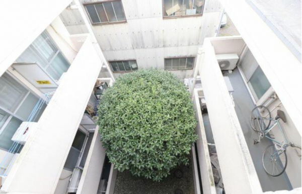 桶川市西、マンションの画像です