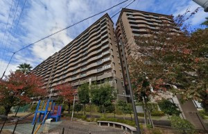 和泉市肥子町、マンションの外観画像です