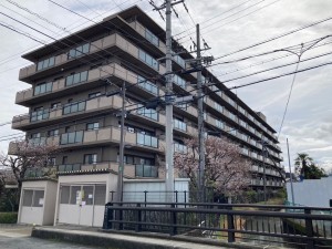 草津市若竹町、マンションの画像です