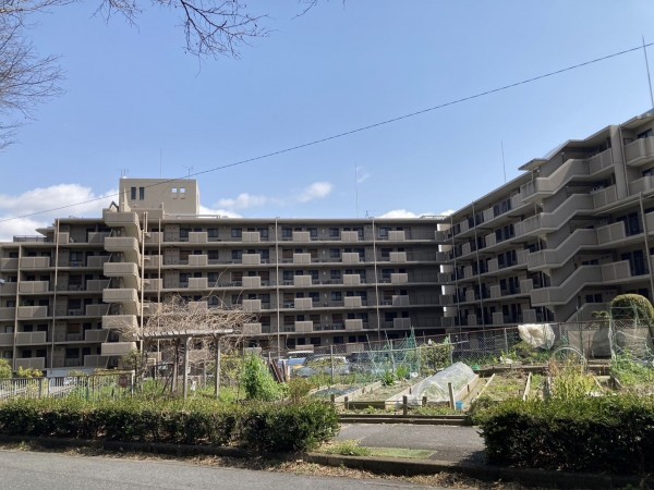 大津市富士見台、マンションの画像です