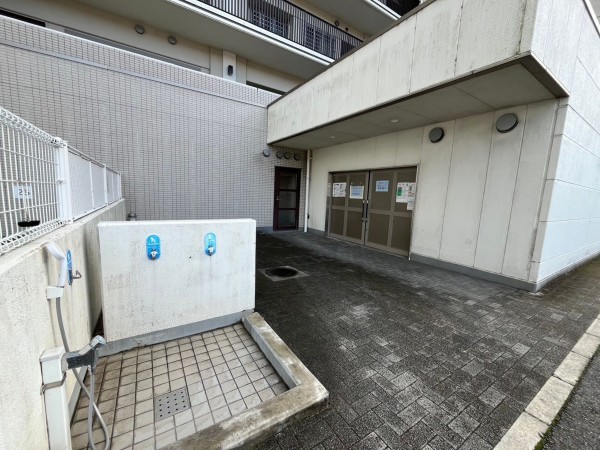 大津市茶が崎、マンションの画像です