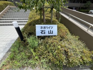 大津市北大路、マンションの画像です