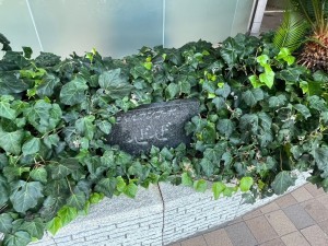 大津市中庄、マンションの画像です