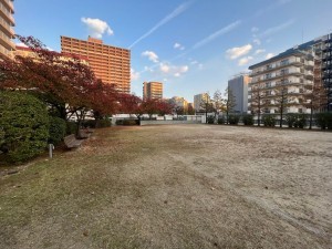 大津市におの浜、マンションの画像です