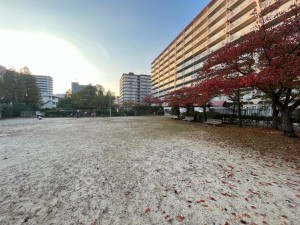 大津市におの浜、マンションの画像です