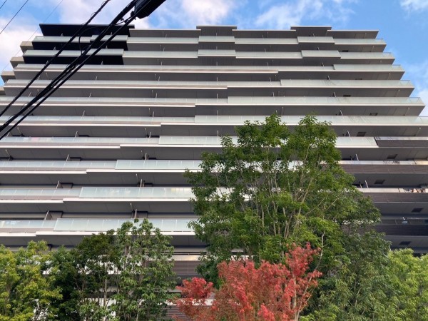 大津市柳が崎、マンションの画像です