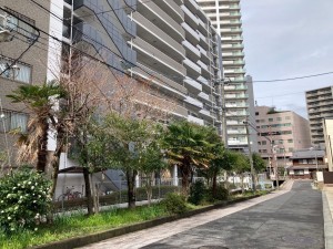 草津市渋川、収益物件/マンションの画像です