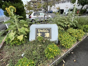 大津市蓮池町、マンションの画像です