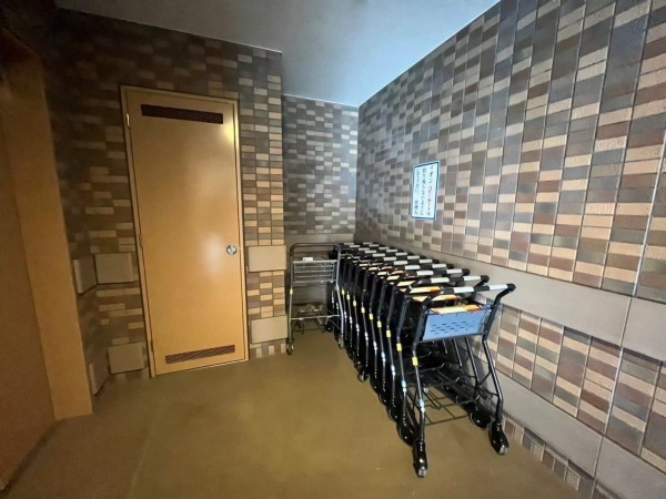 大津市桜野町、マンションの画像です