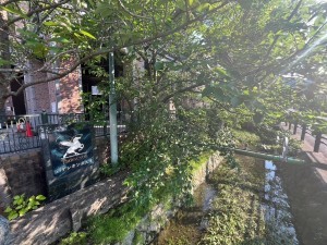 大津市浜大津、マンションの画像です