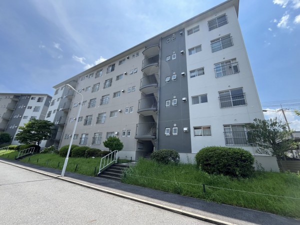 大津市打出浜、マンションの画像です