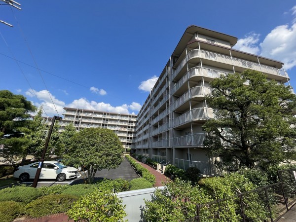 大津市馬場、マンションの画像です