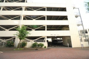 大津市茶が崎、マンションの画像です