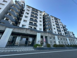 一宮市北方町中島、マンションの画像です