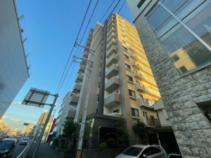 鹿児島市上荒田町、マンションの外観画像です