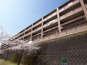 鹿児島市常盤、マンションの外観画像です