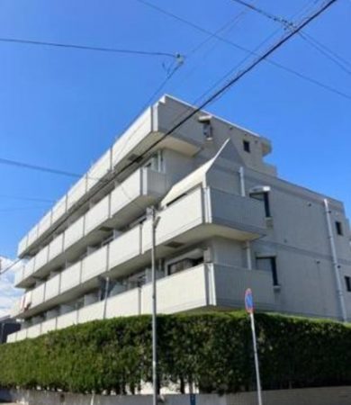 鹿児島市城西、マンションの外観画像です