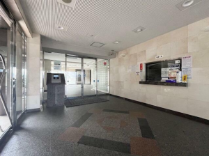 鹿児島市郡元町、マンションの画像です