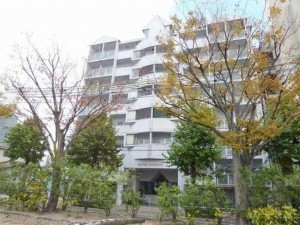 岡山市北区南中央町、マンションの画像です