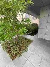 岡山市北区平和町、マンションの画像です