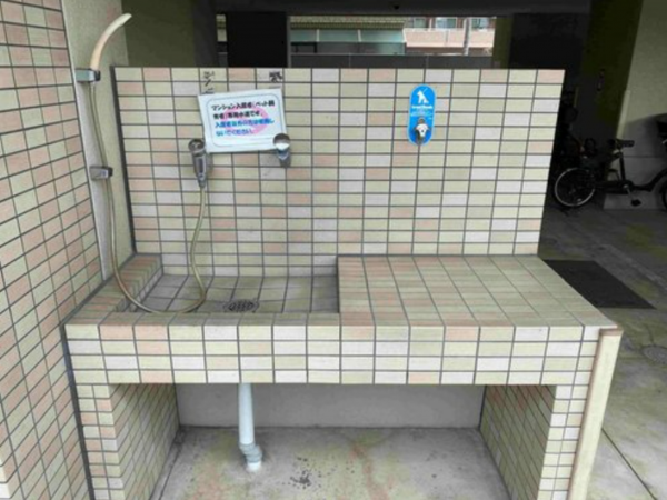 岡山市北区平和町、マンションの画像です
