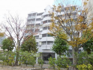 岡山市北区南中央町、収益物件/その他の画像です