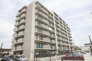 岡山市北区野田、マンションの外観画像です