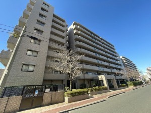 鹿児島市東郡元町、マンションの画像です