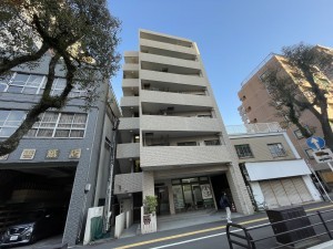 鹿児島市高麗町、マンションの画像です