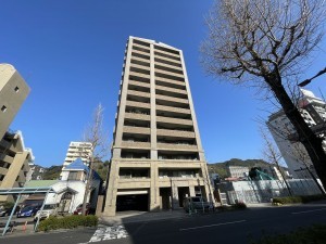 鹿児島市平之町、マンションの画像です