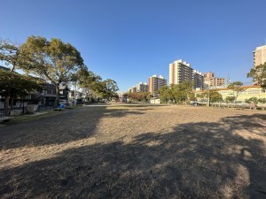 鹿児島市真砂本町、マンションの画像です