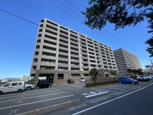 鹿児島市天保山町、マンションの画像です