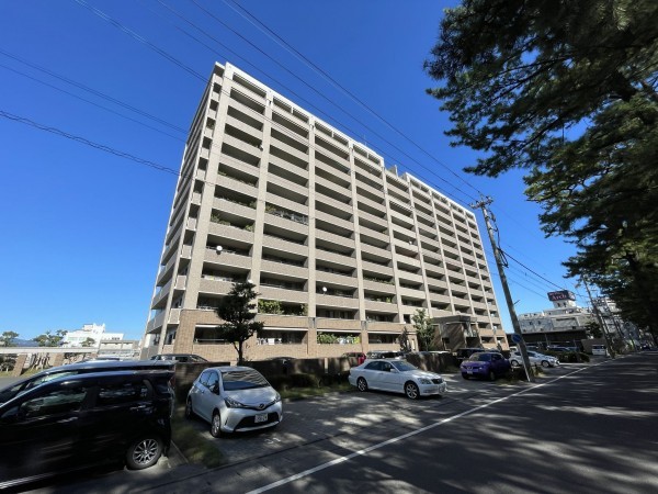 鹿児島市天保山町、マンションの画像です