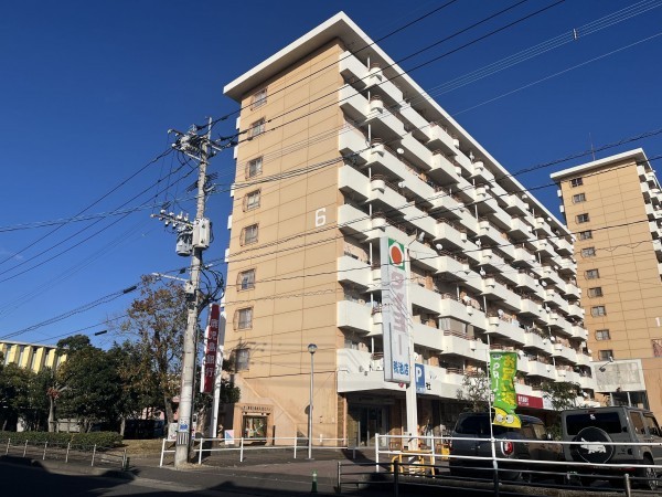 鹿児島市鴨池新町、マンションの画像です