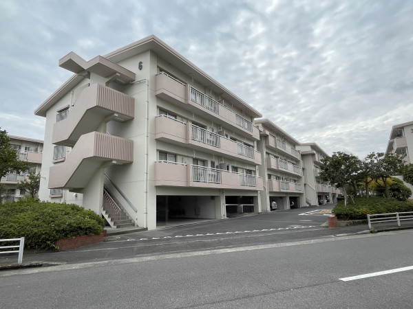 鹿児島市鴨池新町、マンションの画像です