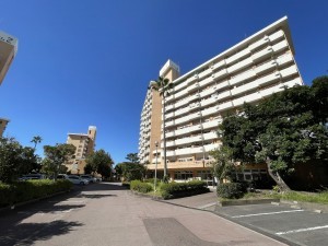 鹿児島市鴨池新町、マンションの画像です