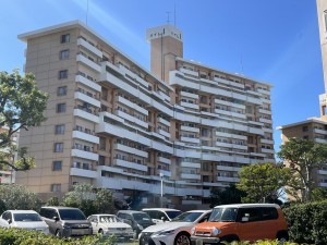 鹿児島市鴨池新町、マンションの画像です
