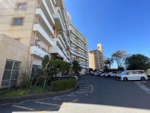 鹿児島市鴨池新町、マンションの画像です