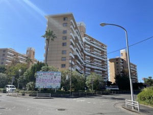 鹿児島市鴨池新町、マンションの画像です