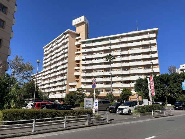 鹿児島市鴨池新町、マンションの画像です