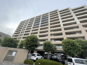 鹿児島市上荒田町、マンションの画像です