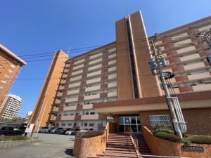 鹿児島市真砂本町、マンションの画像です