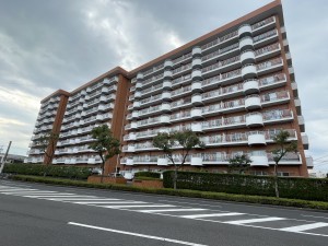 鹿児島市真砂本町、マンションの画像です