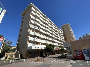 鹿児島市鴨池新町、マンションの画像です