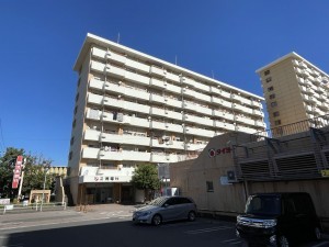 鹿児島市鴨池新町、マンションの画像です