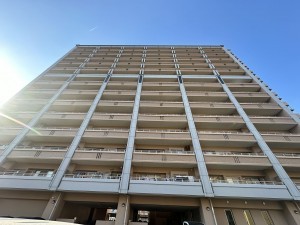 鹿児島市郡元、マンションの画像です