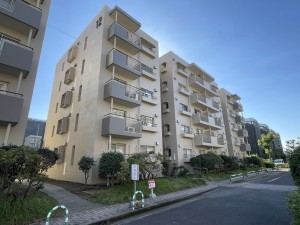 鹿児島市鴨池新町、マンションの画像です