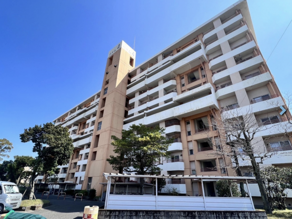 鹿児島市鴨池新町、マンションの画像です