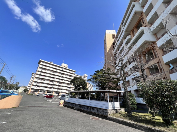 鹿児島市鴨池新町、マンションの画像です