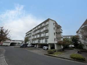 鹿児島市鴨池新町、マンションの画像です